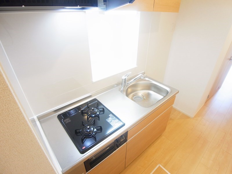 サンフラウアⅥ その他10