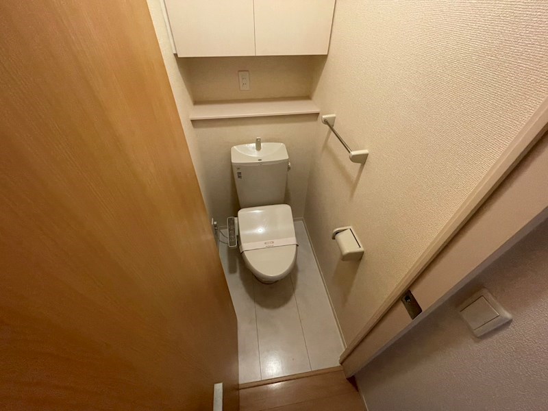 ステラＣ その他1