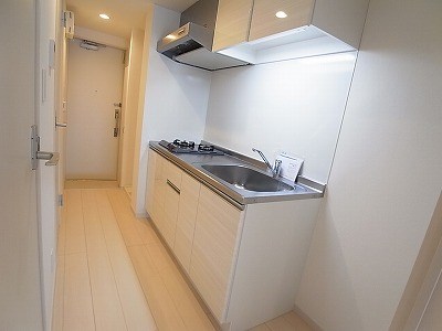 リブリ・ルナ キッチン