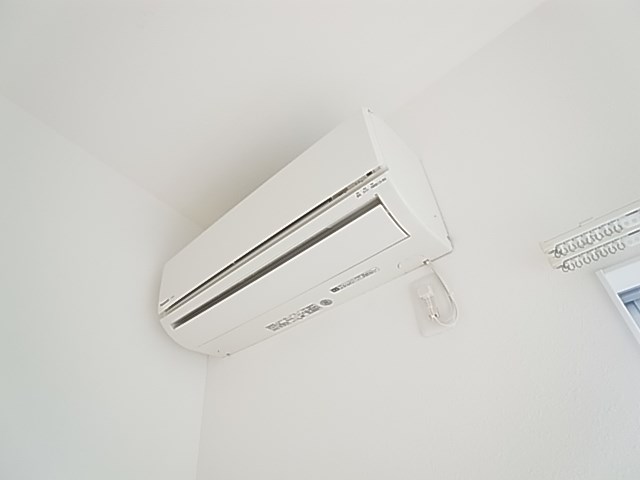 Pinofiore　Cielo その他5