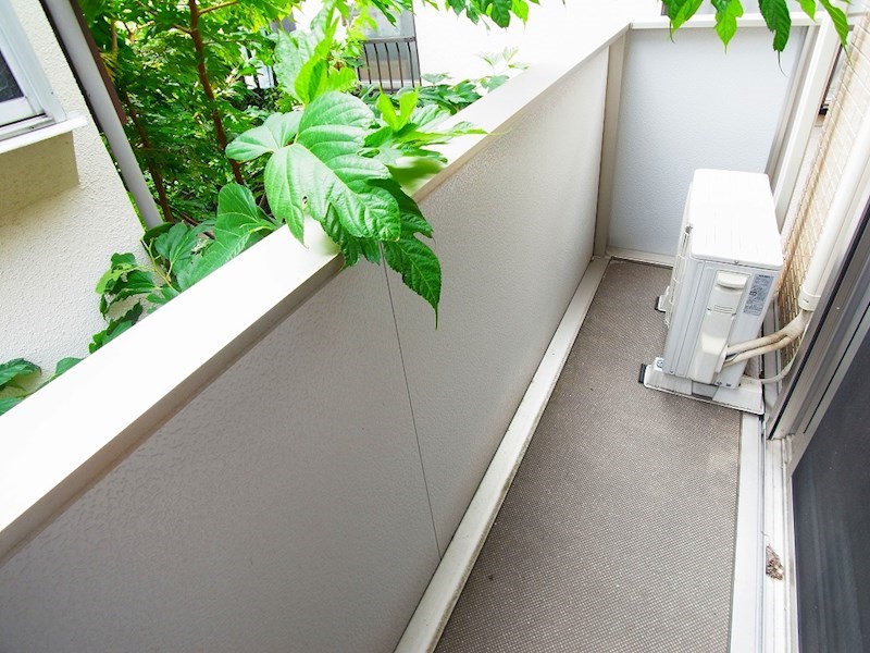 萌木庵 ベランダ