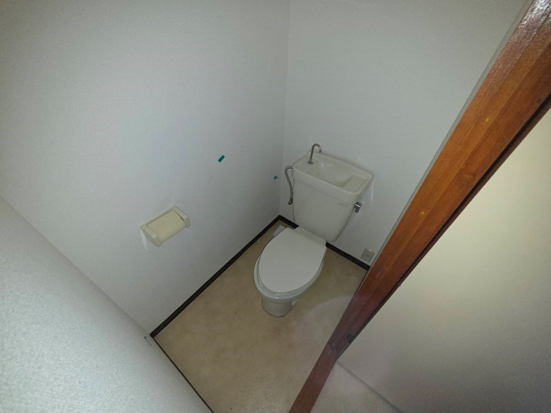 秋桜林 その他1