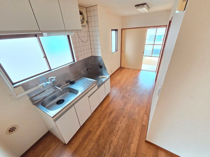 秋桜林 その他8