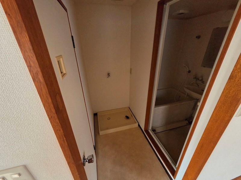 秋桜林 その他9