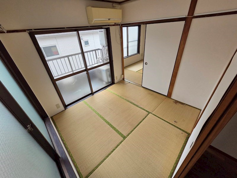 秋桜林 その他11