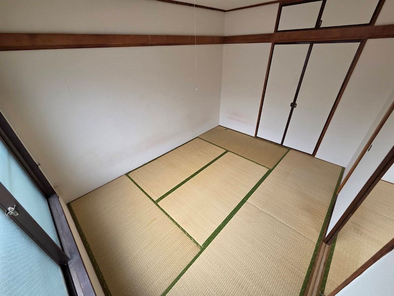 秋桜林 その他12