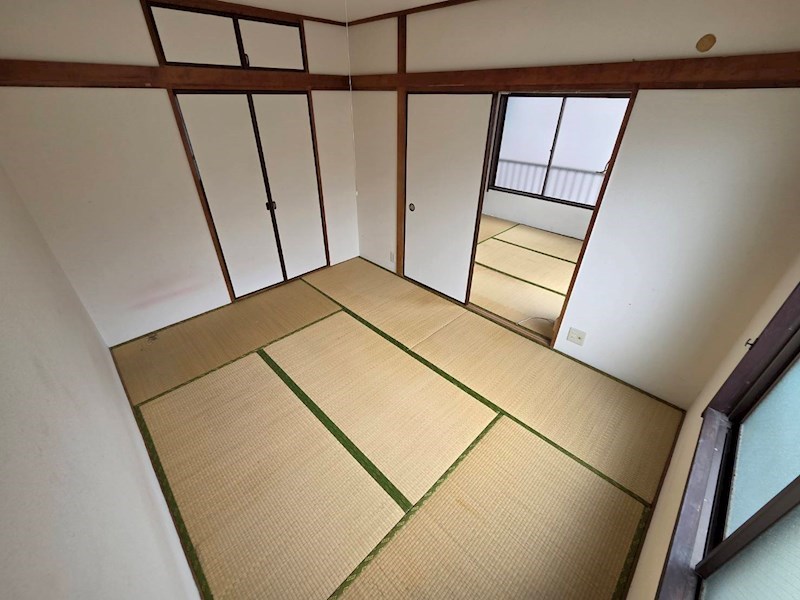 秋桜林 その他13