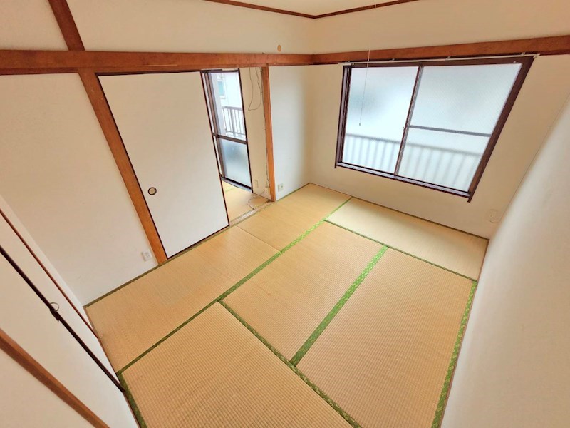 秋桜林 その他14