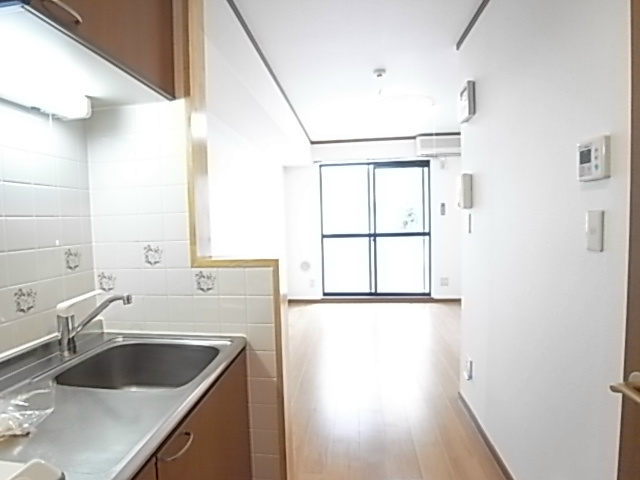 リュエル その他4