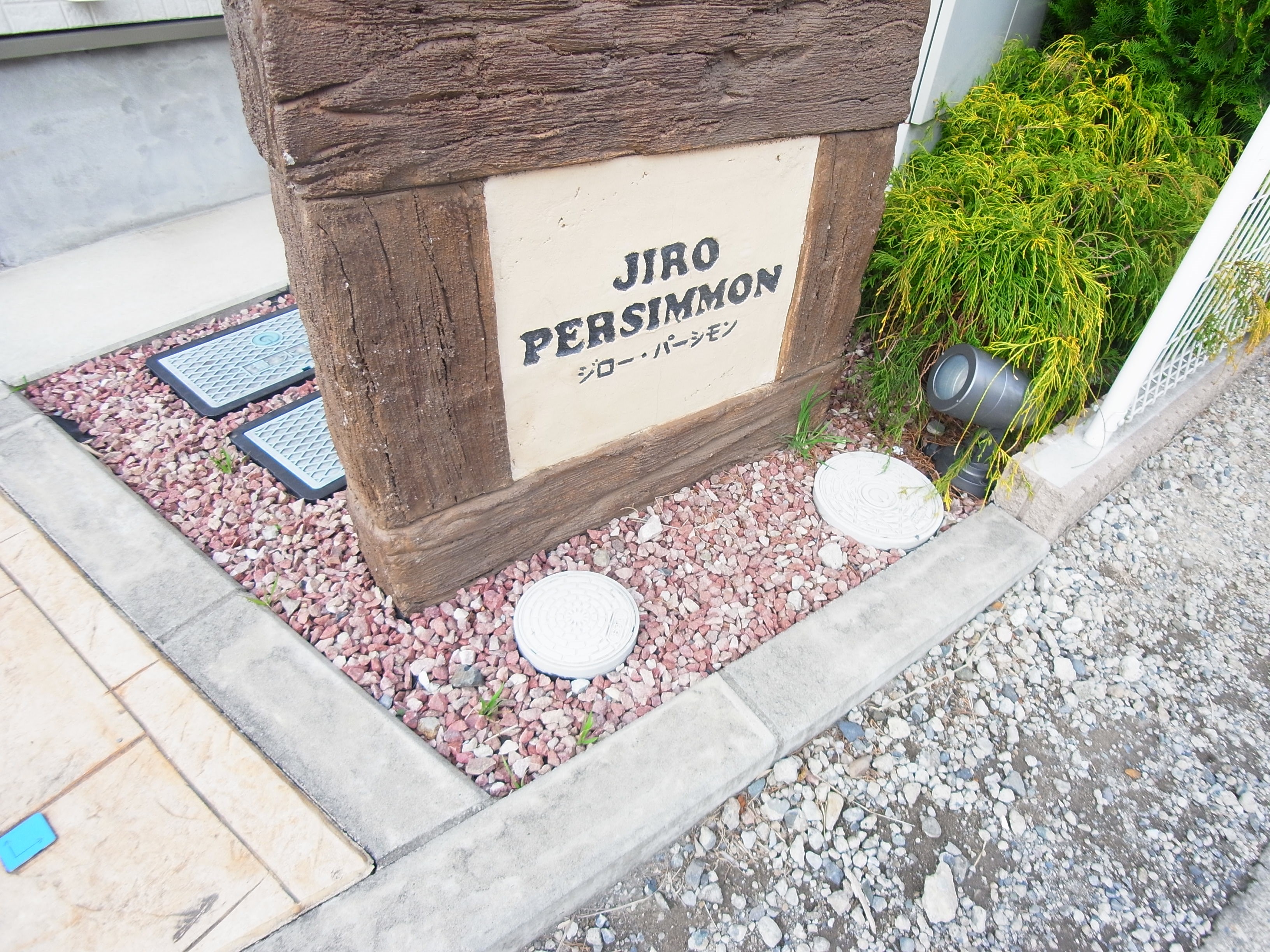 JIRO PERSIMMON（ジロー・パーシモン）  その他外観3