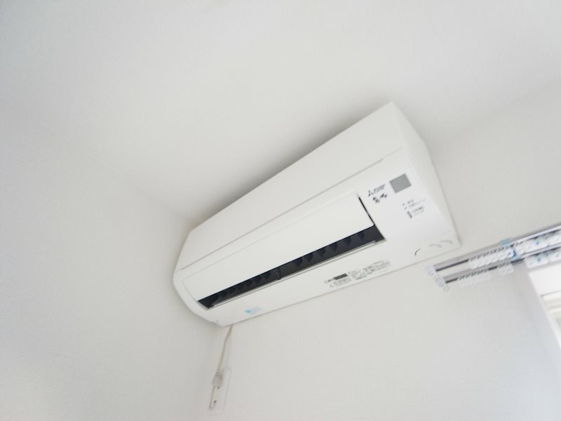 アムール橘 その他5