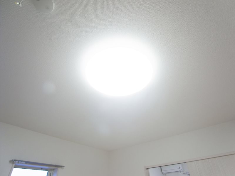 アムール橘 その他6