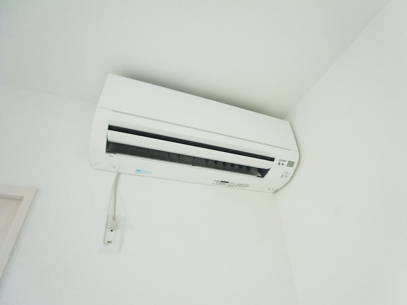 アムール橘 その他6