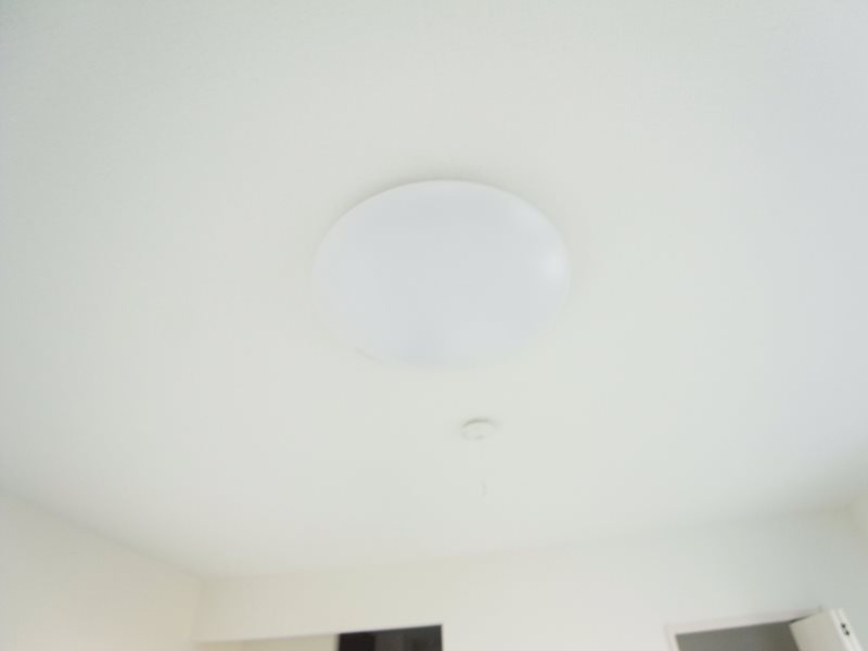 アムール橘 その他10