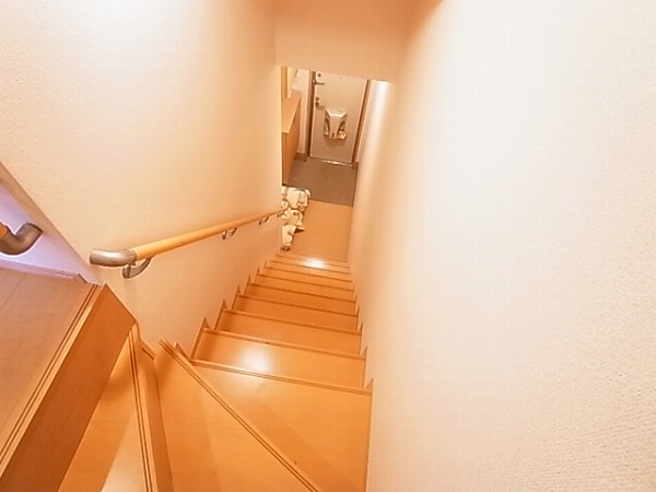 ボンヌール　マキ その他17