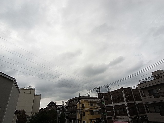 ビエラコート綾瀬 眺望