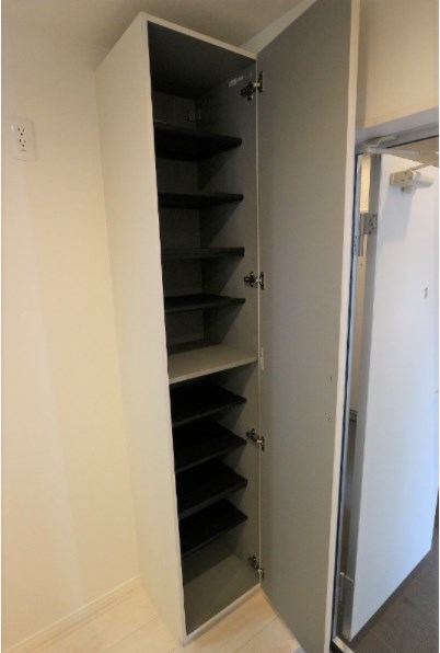 RIZEST　ＴＹ新松戸Ⅱ 玄関