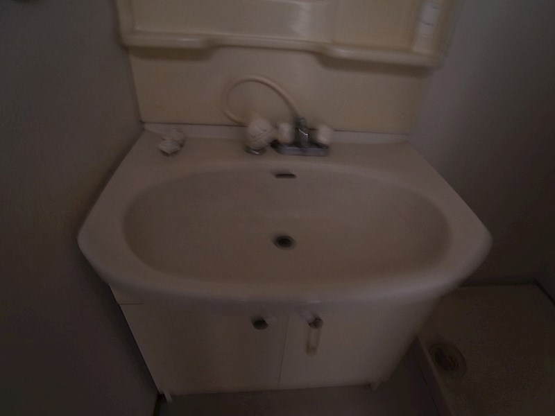 ラフィーヌ・ジュネスⅡ その他2