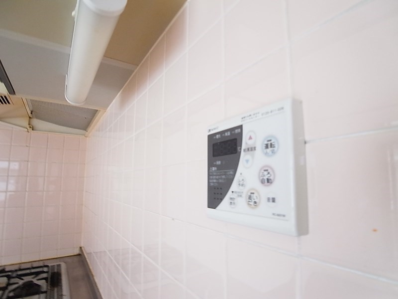 ラフィーヌ・ジュネスⅡ その他6