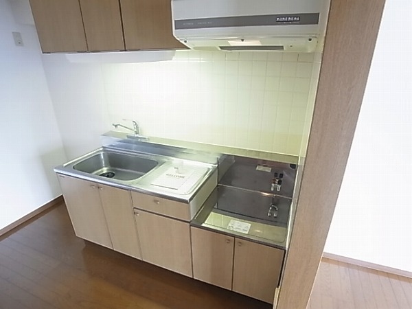アムール その他6