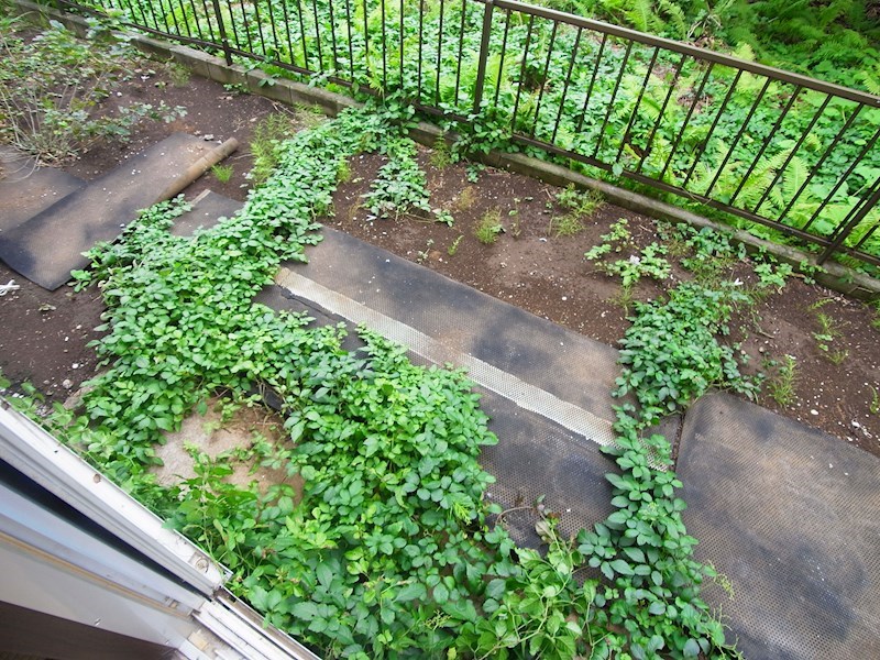 立野ハイツＢ棟 ベランダ