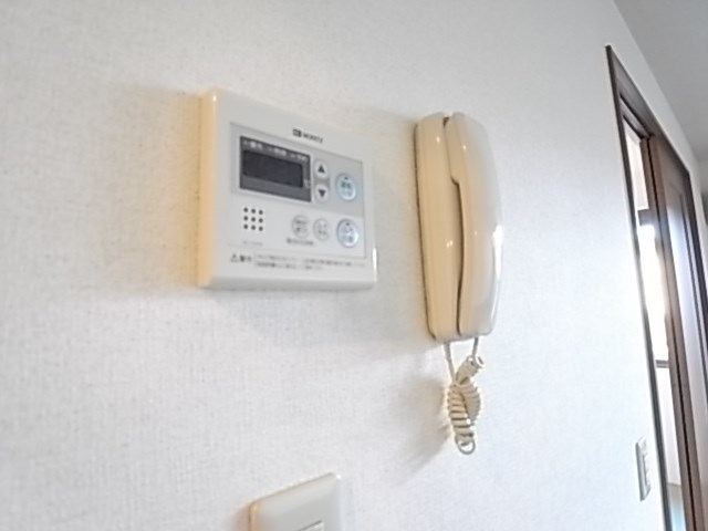 グリーンテリア第7 その他4