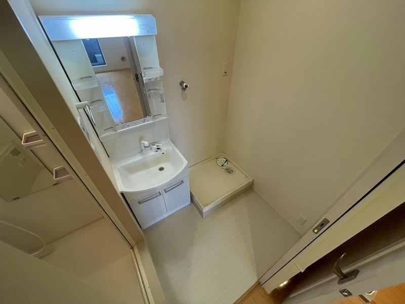 Lovely Rosa その他2