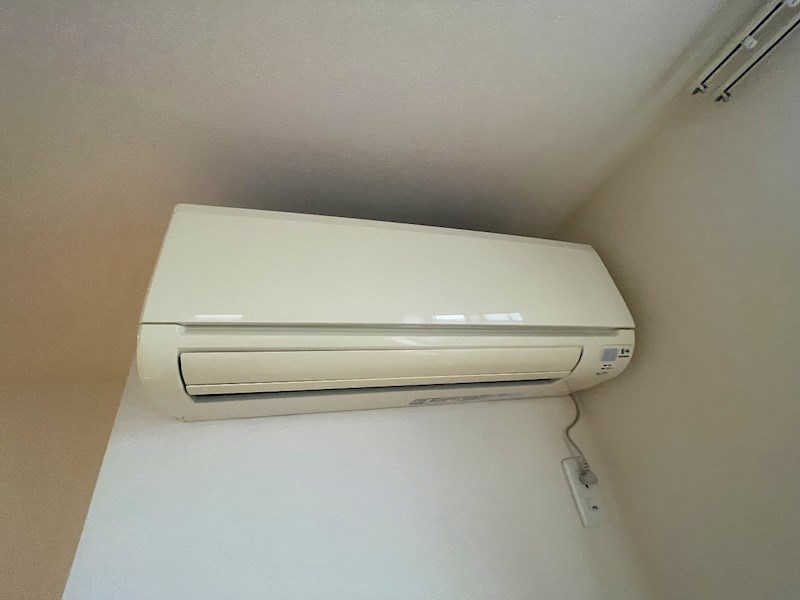 Lovely Rosa その他4