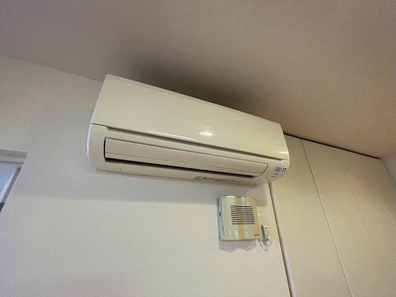 Lovely Rosa その他15