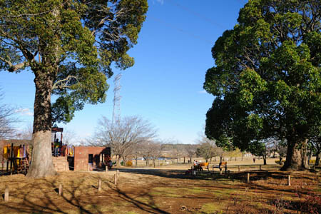 柏808タワー 周辺画像8