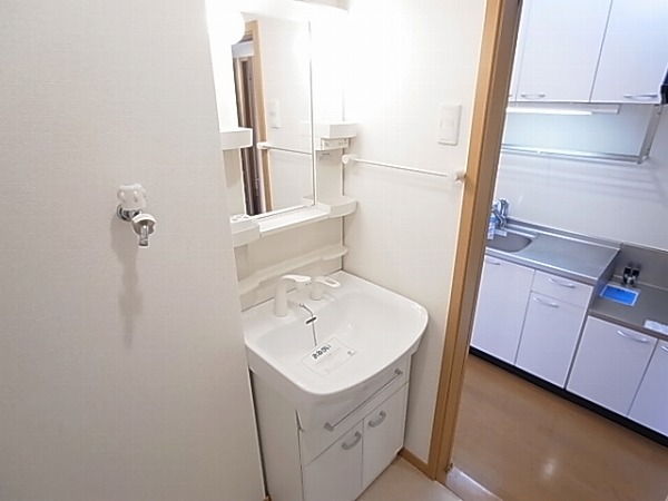 ストロベリー・カーサⅤ その他2