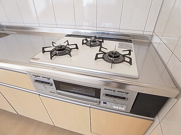 Felicia Amelloides～フェルシア・アメロイデス～ その他8