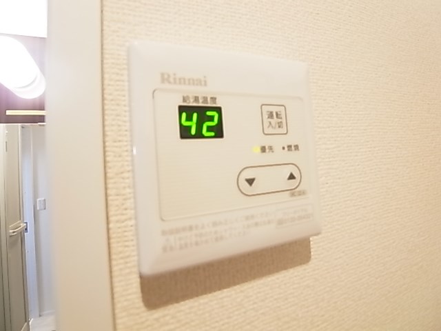 ジプソフィリア その他