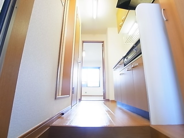 ステラ２１０ その他1
