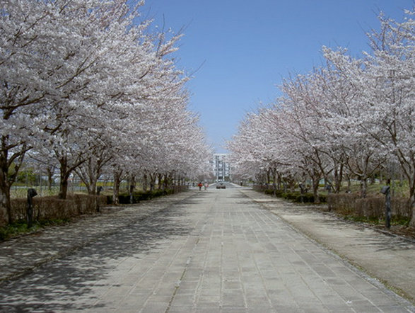 アーストンスクウェア 周辺画像2