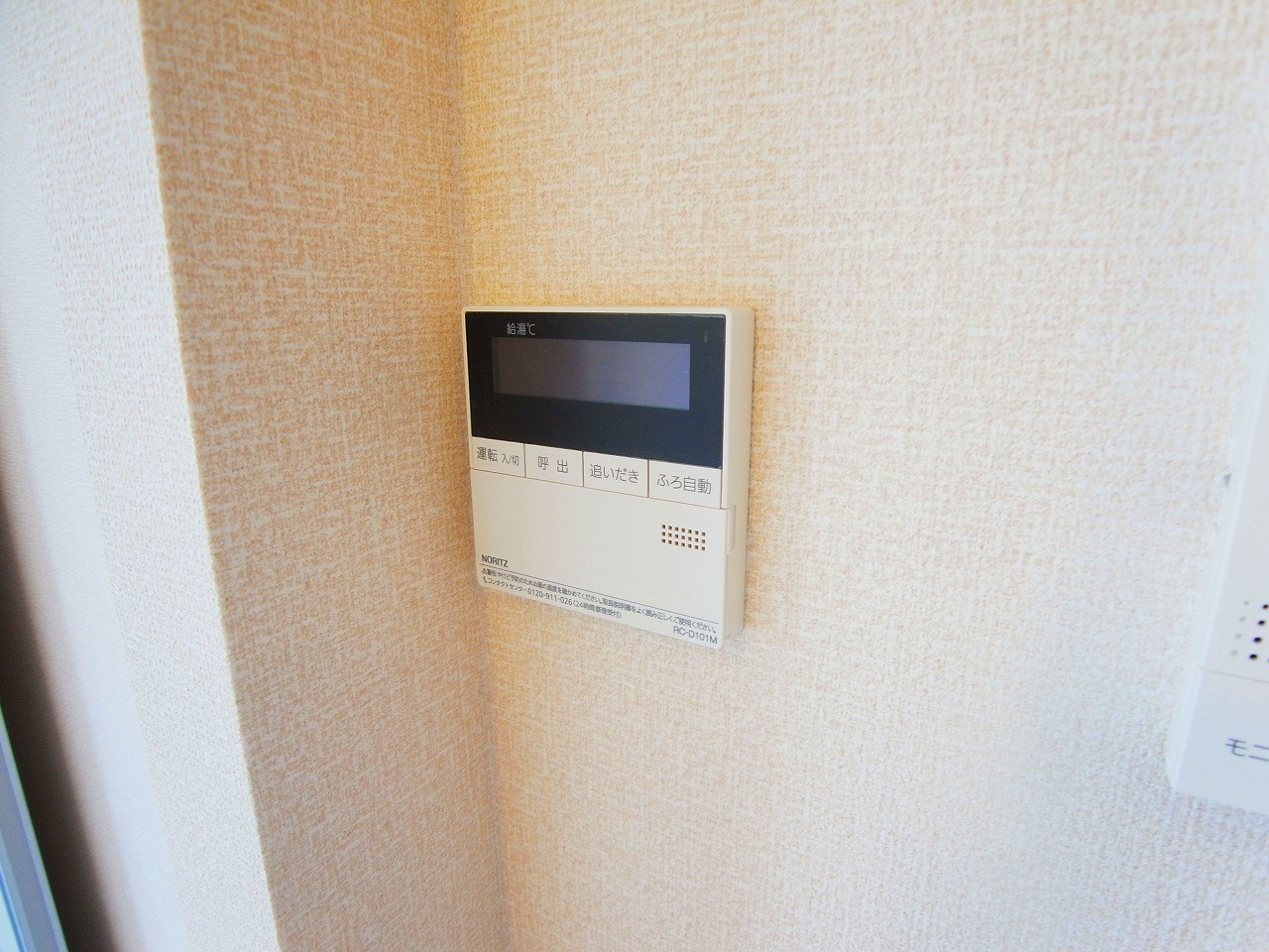 カーネリアン その他12
