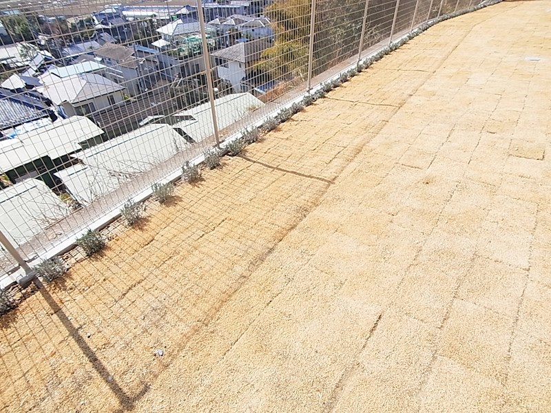 CRESCENT COURT　～クレセントコート～ ベランダ