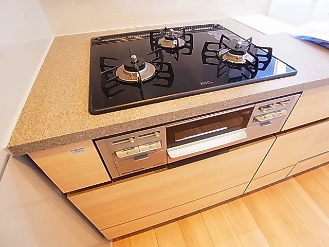 ライオンズタワー柏 その他10