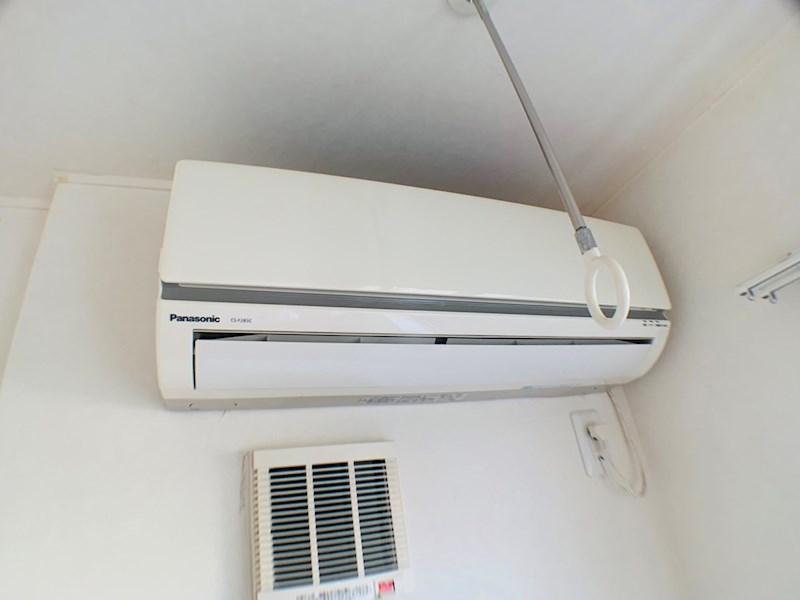 ラシーネ扇　サクラ その他3