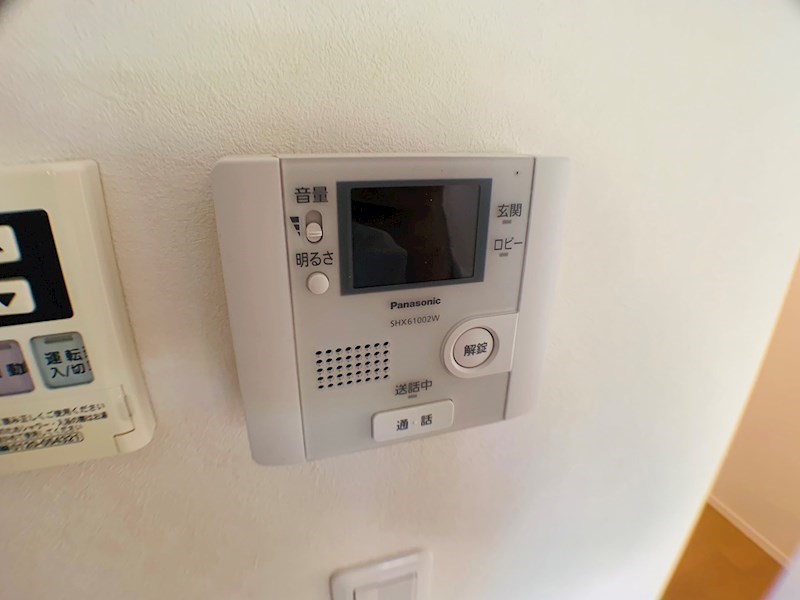 ラシーネ扇　サクラ その他5