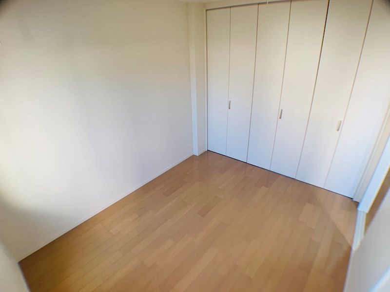 ラシーネ扇　サクラ その他9