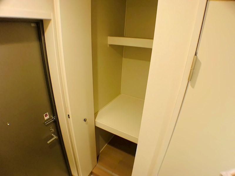 ラシーネ扇　サクラ その他16