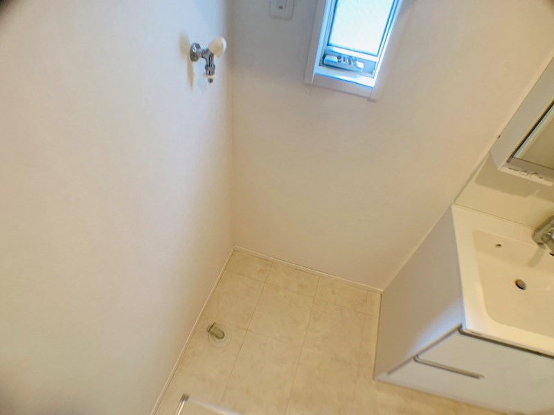 ラシーネ扇　サクラ その他17