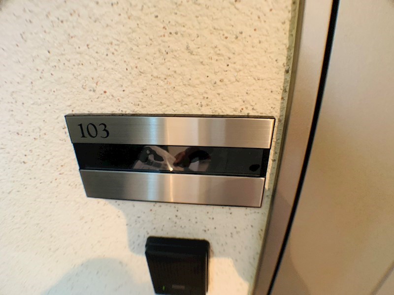 ラシーネ扇　サクラ その他20