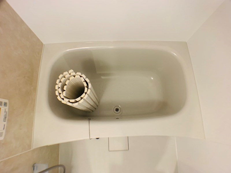 ラシーネ扇　サクラ その他21