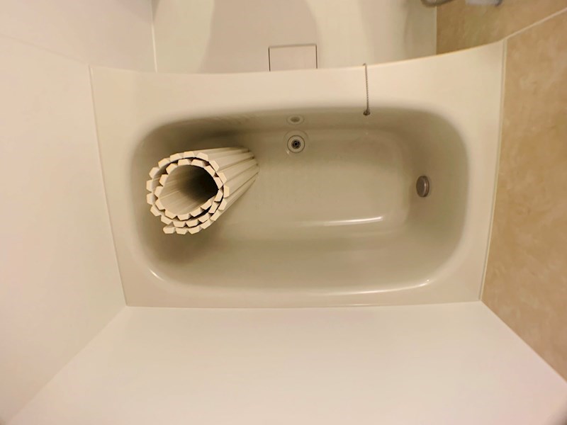 ラシーネ扇　サクラ その他22