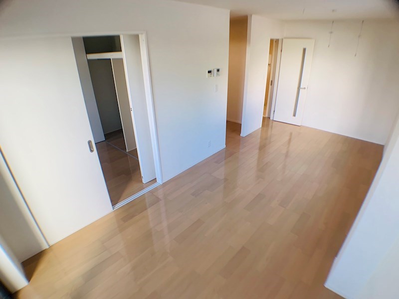 ラシーネ扇　サクラ その他29