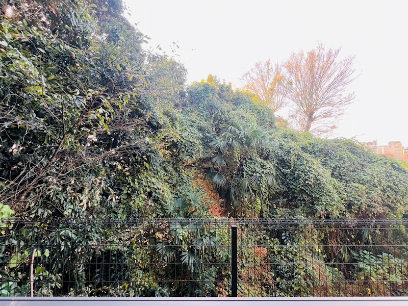 スプリング・Ｋ その他6