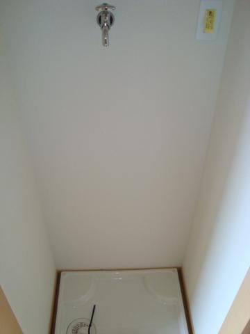 リリーガーデン その他6