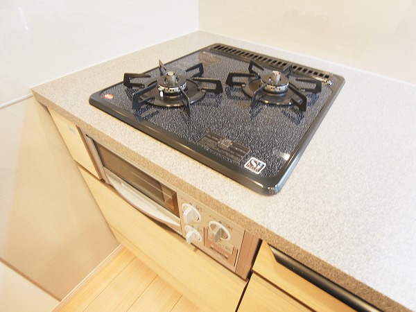 ライオンズタワー柏 その他10